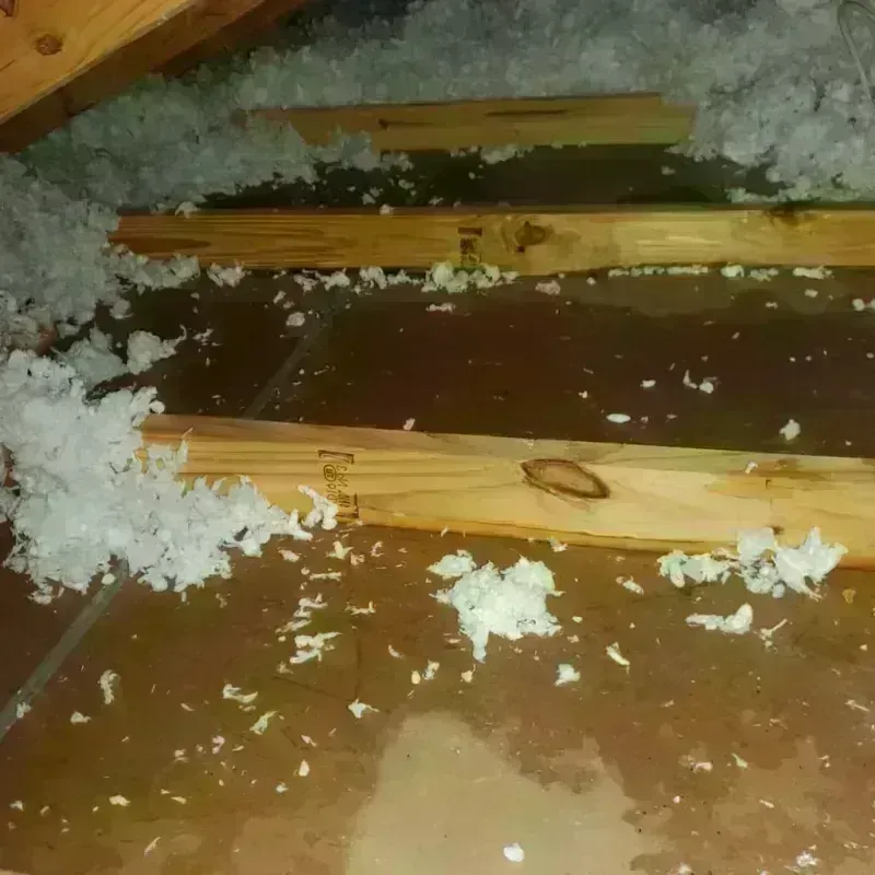 Attic Water Damage in South Greensburg, PA